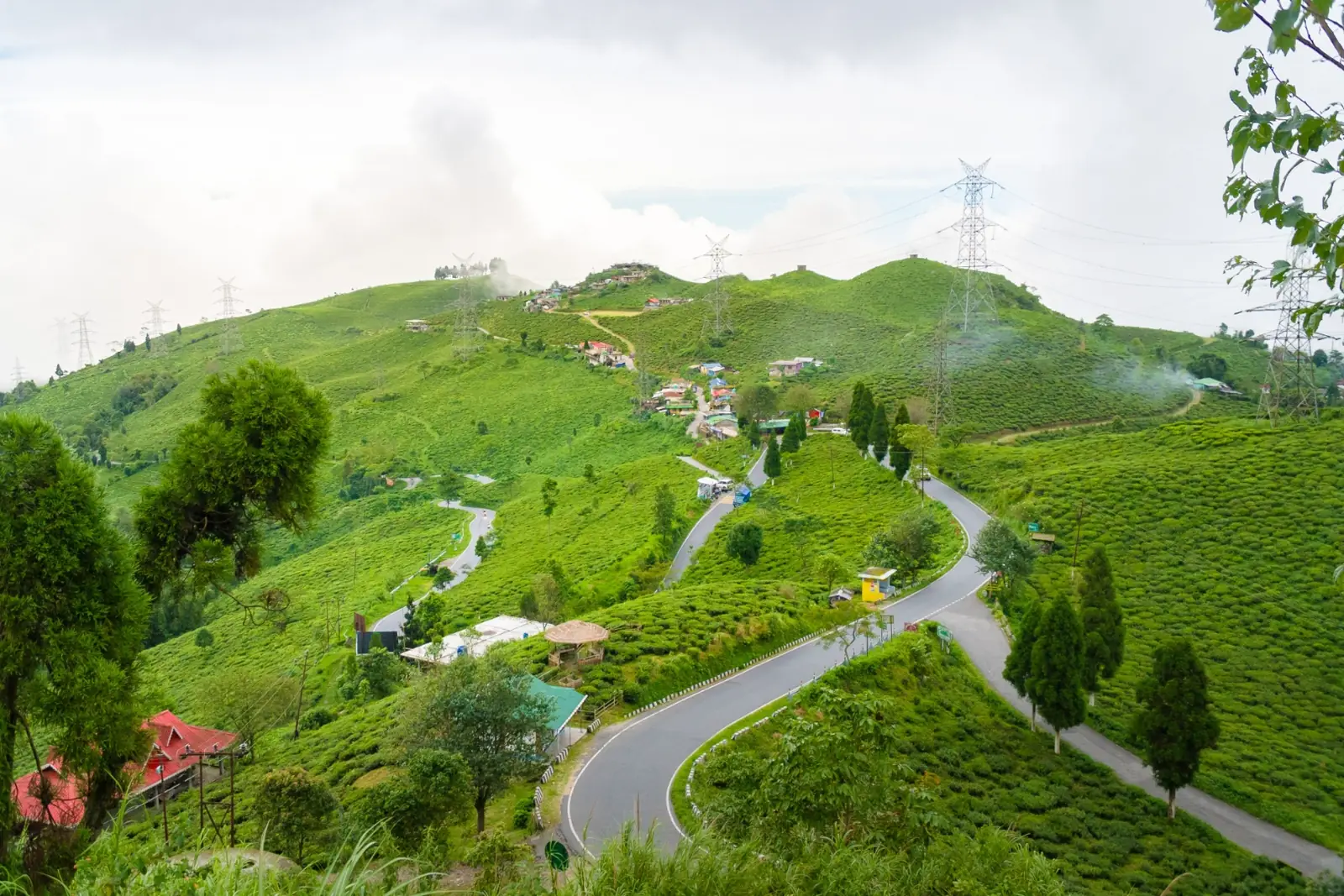 Tea garden escape in Rangaroon